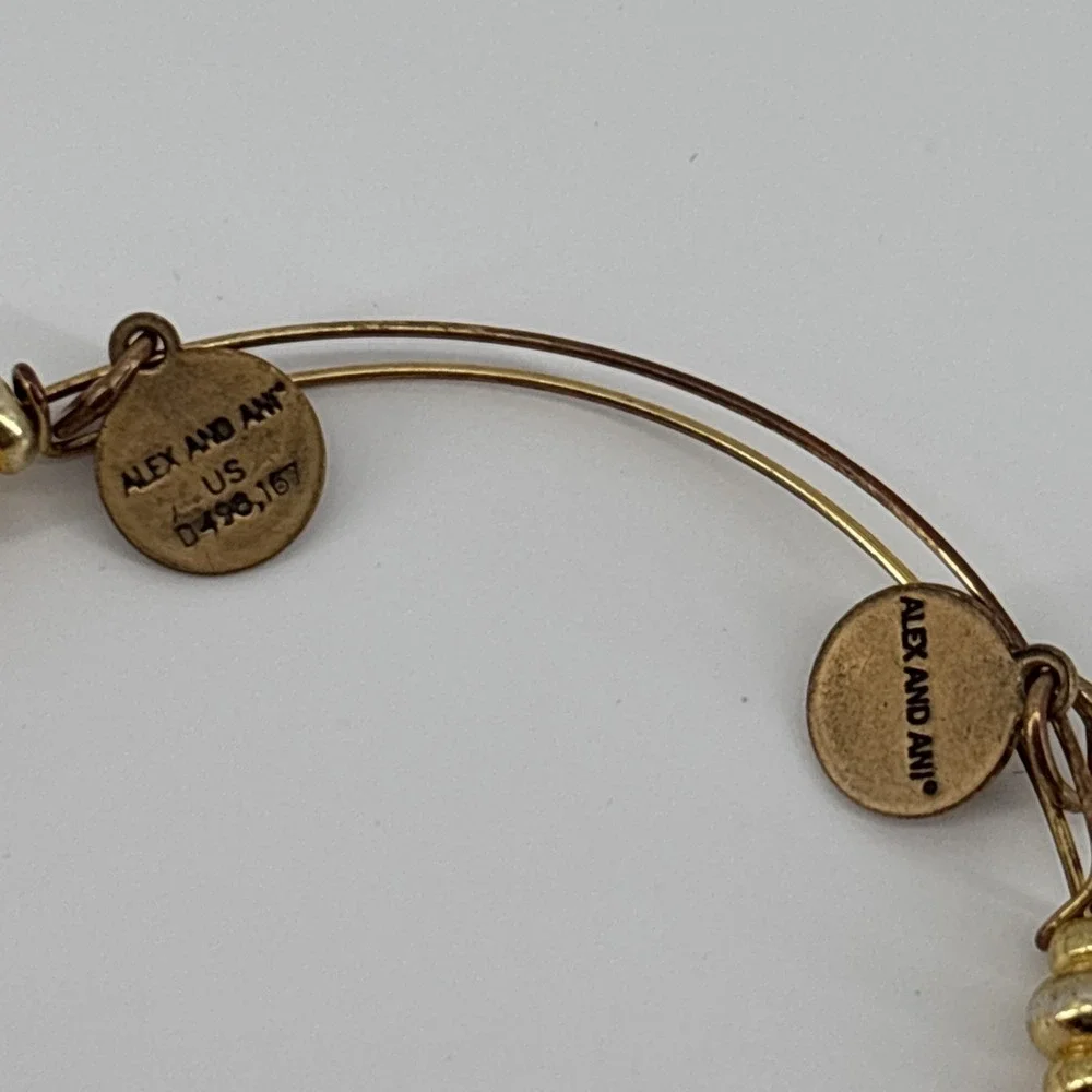 Alex and Ani this not